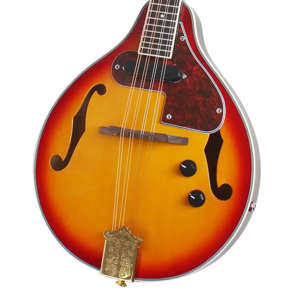 8 String Electric Mandolin