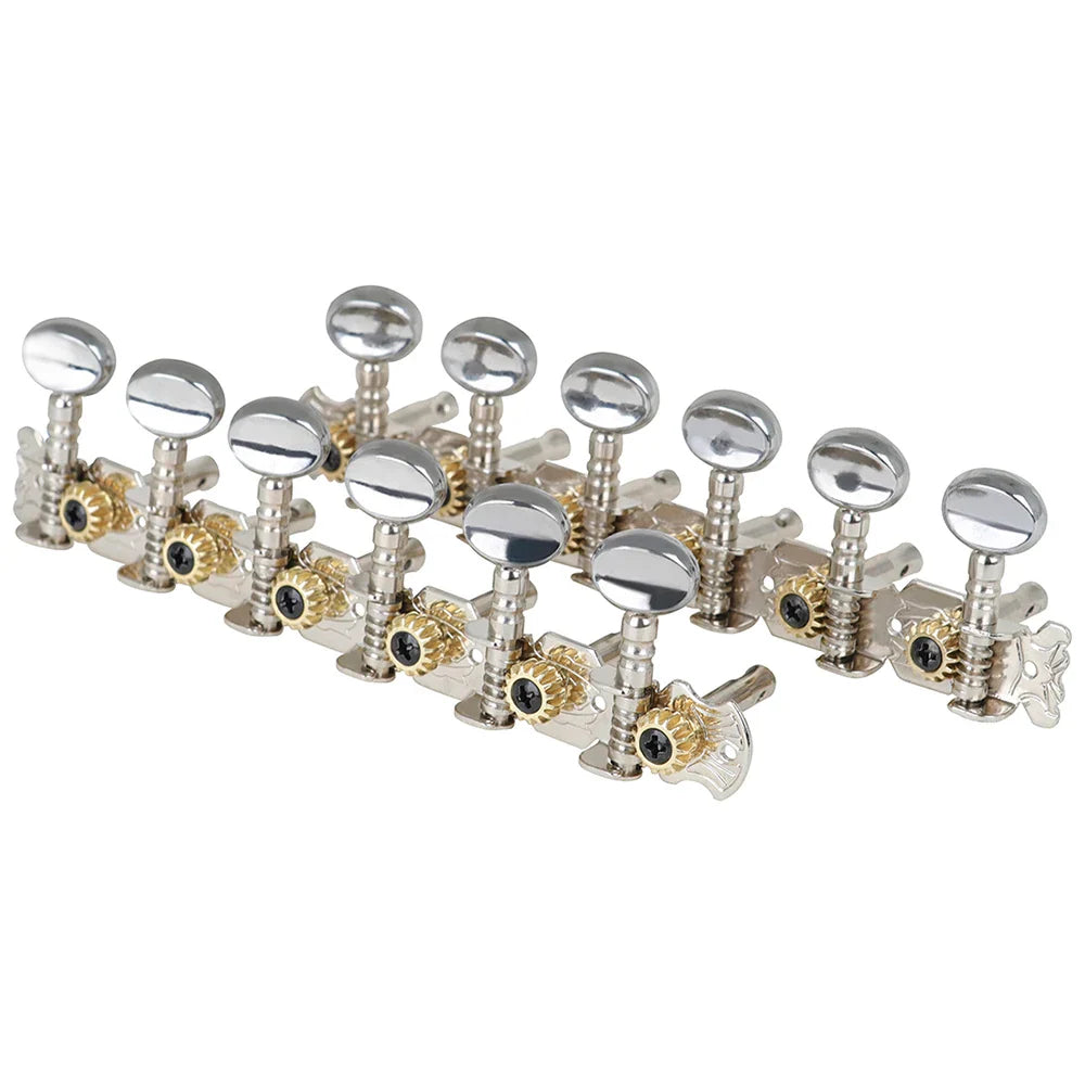 Acoustic Guitar Tuning Pegs (6R6L)